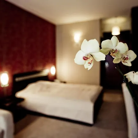 Hotel Forum Garni 4*